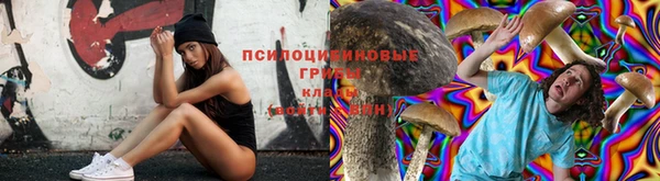 бошки Абдулино